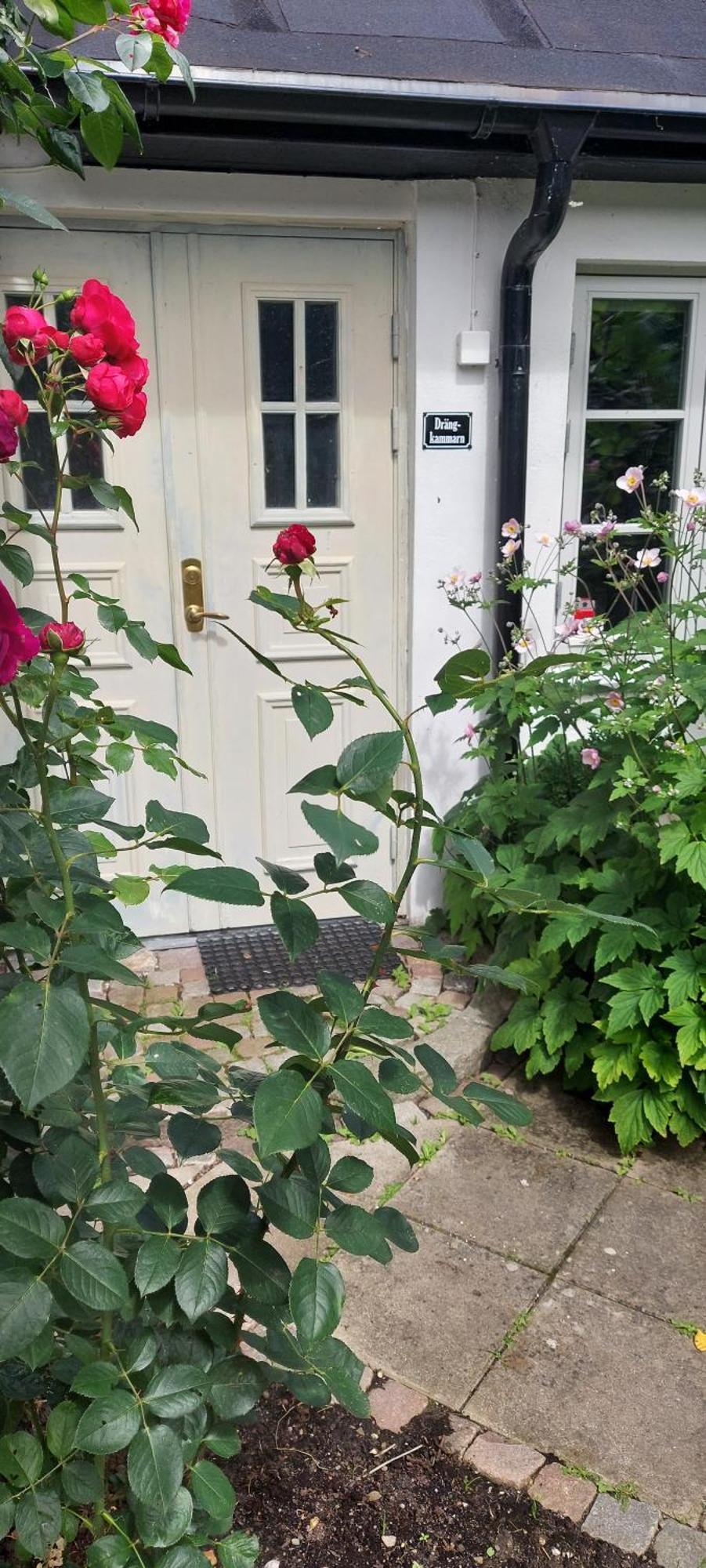 Bjerred B&B Bjarred Ngoại thất bức ảnh